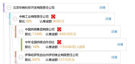 北京華棉科技 以專業(yè)IFRS之力與大查客戶端驗(yàn)證深化信息技術(shù)服務(wù)渠道可靠性